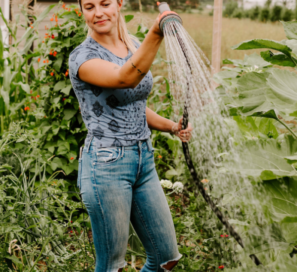 Sustainable Garden Watering Tips for Healthier Plants